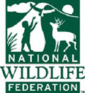 National Wildlife Federation - Greening Detroit