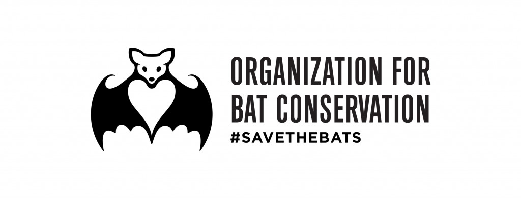 The Organization for Bat Conservation (OBC)
